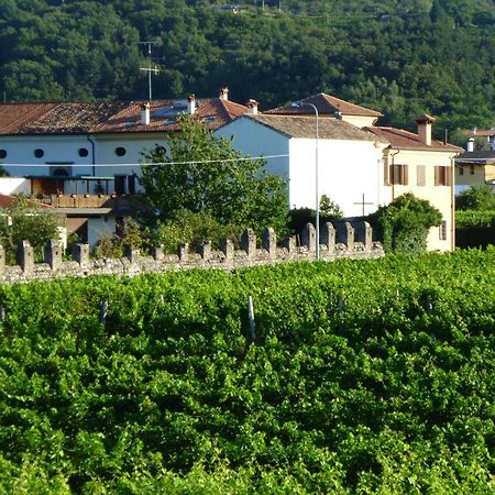 Agriturismo Grillo Iole Winery Prepotto  エクステリア 写真