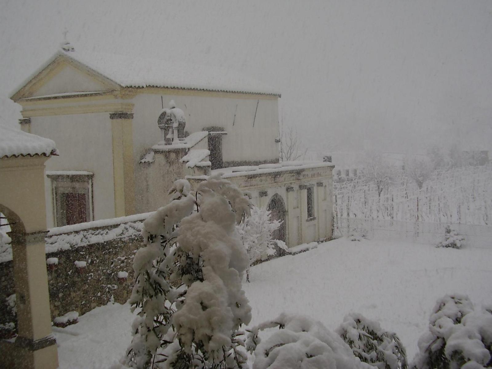 Agriturismo Grillo Iole Winery Prepotto  エクステリア 写真