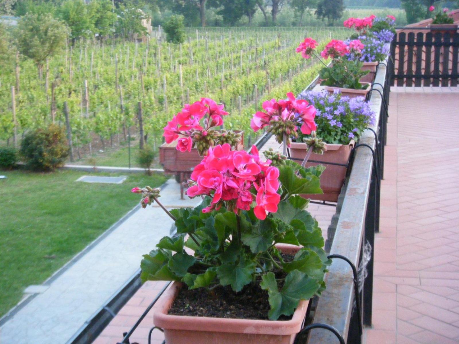 Agriturismo Grillo Iole Winery Prepotto  エクステリア 写真