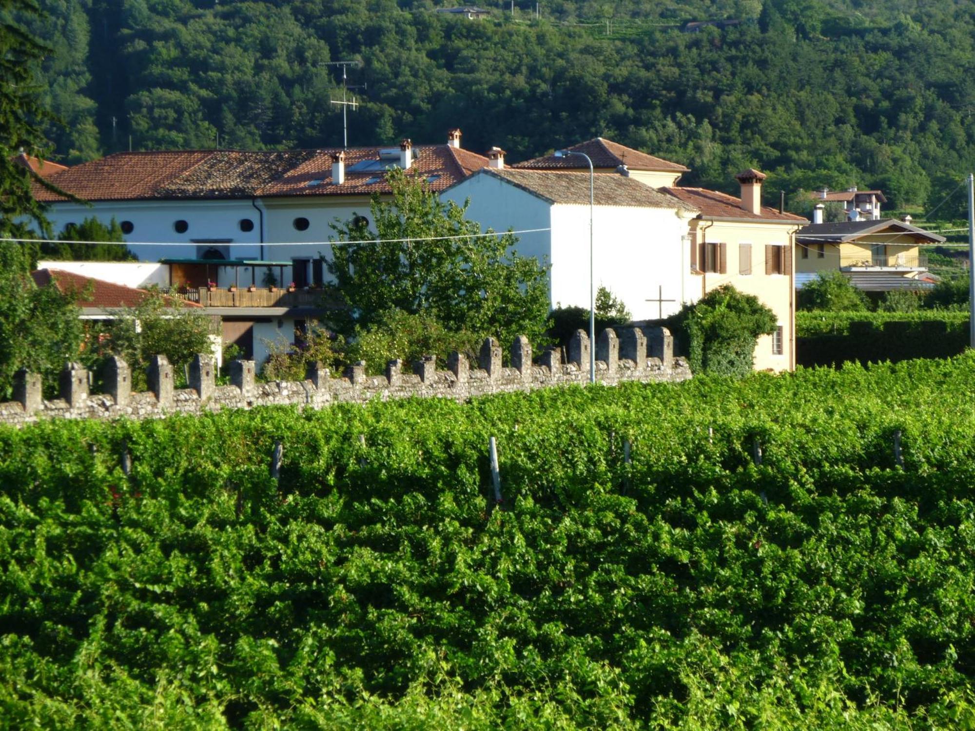 Agriturismo Grillo Iole Winery Prepotto  エクステリア 写真