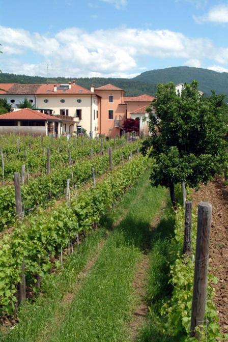 Agriturismo Grillo Iole Winery Prepotto  エクステリア 写真